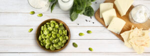 Boiled Fava Beans
